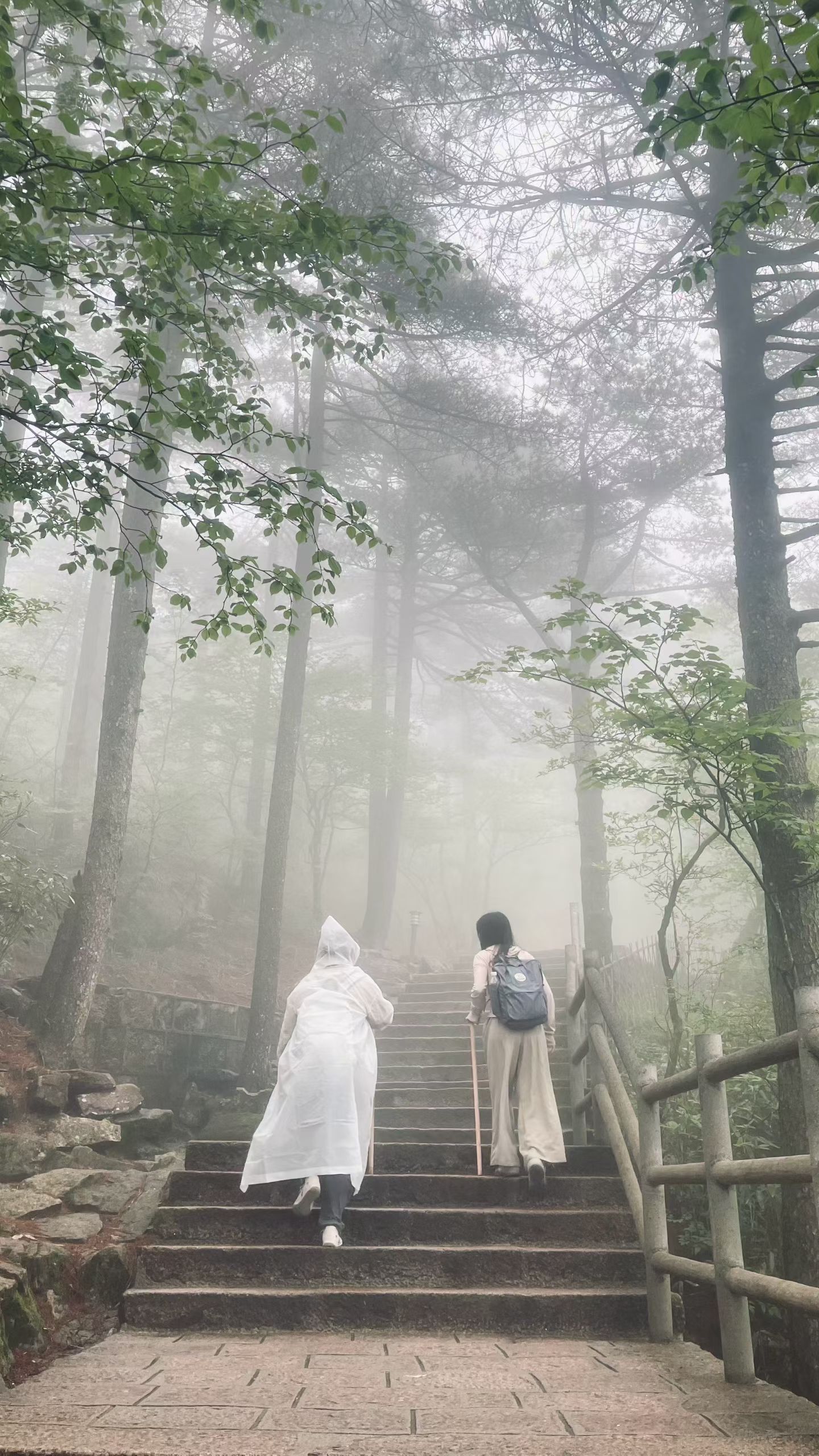 Huangshan scenery