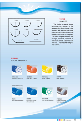 PDF Preview