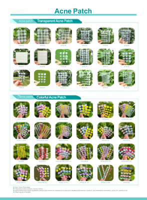 PDF Preview
