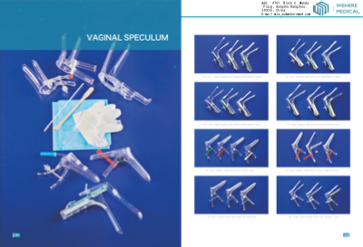PDF Preview