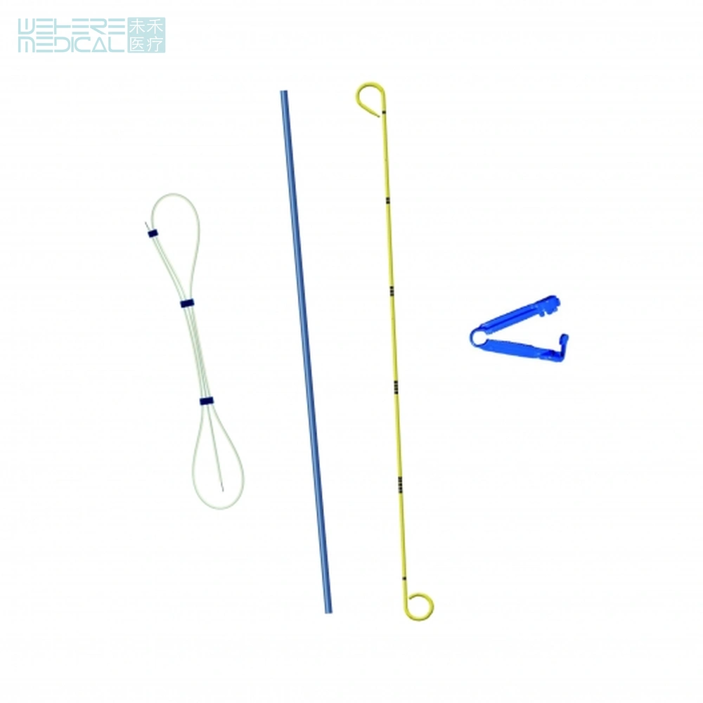 Urology Surgical Integrated Suites